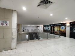 Lucky Plaza (D9), Shop House #457402261